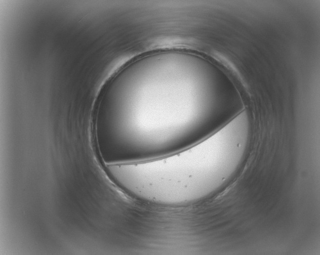 X0000067841277200604130935