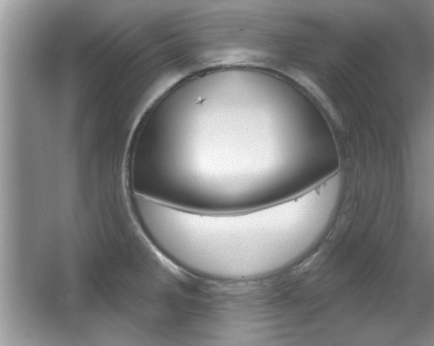 X0000067841285200604130935