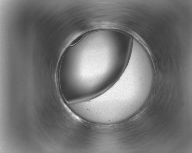 X0000067841293200604130935