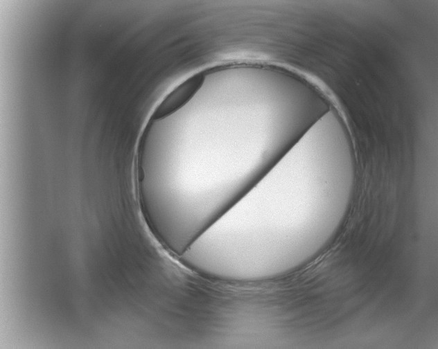 X0000067841295200604130935