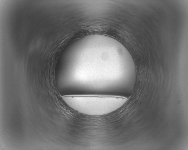 X0000067841297200604130934