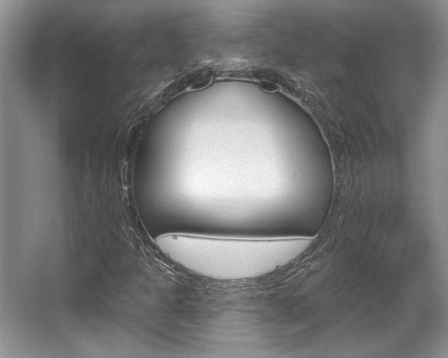 X0000067841301200604130934