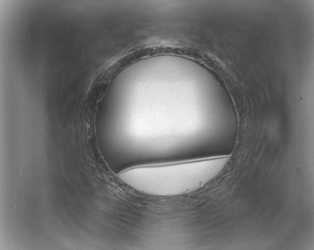 X0000067841303200604130934