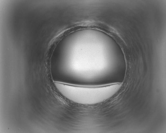 X0000067841304200604130934