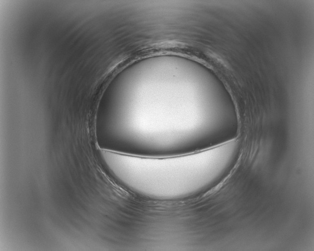 X0000067841305200604130934