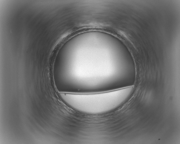 X0000067841307200604130934