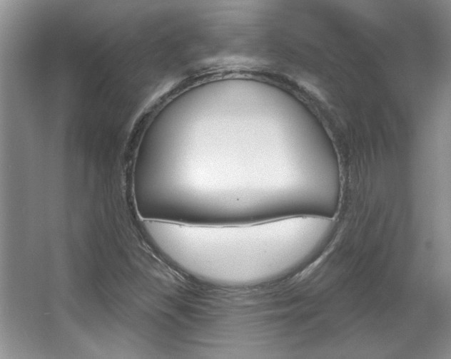 X0000067841309200604130934