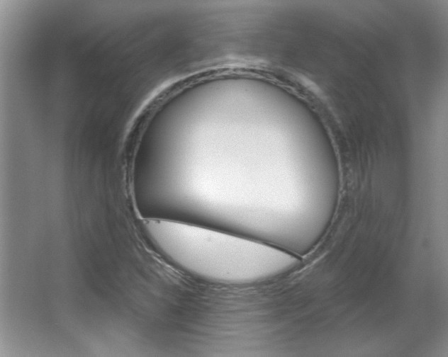 X0000067841310200604130934