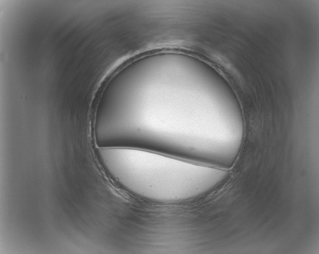 X0000067841316200604130934