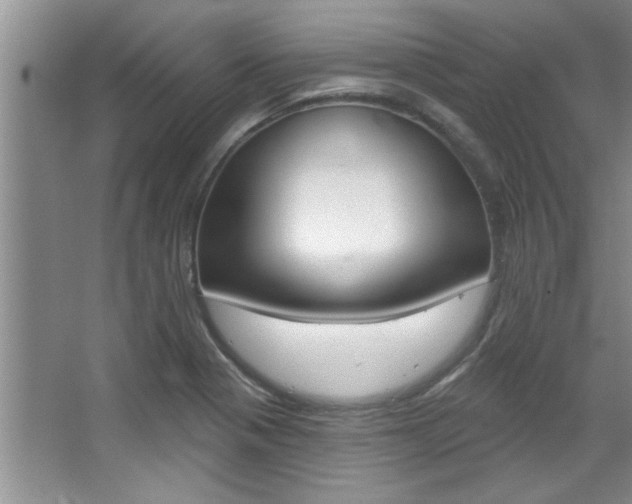 X0000067841321200604130934