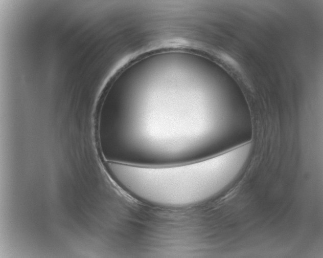 X0000067841326200604130934