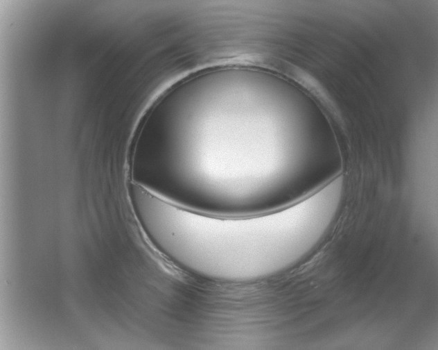 X0000067841332200604130934