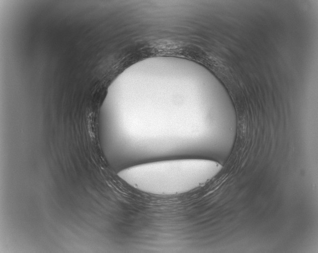 X0000067841346200604130934