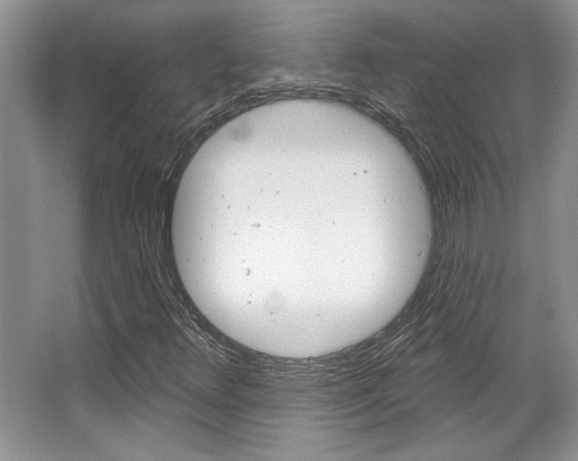 X0000067841348200604130934