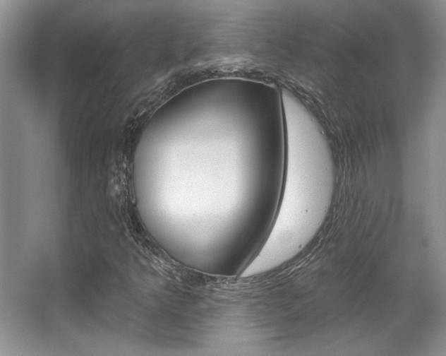 X0000067841349200604130934