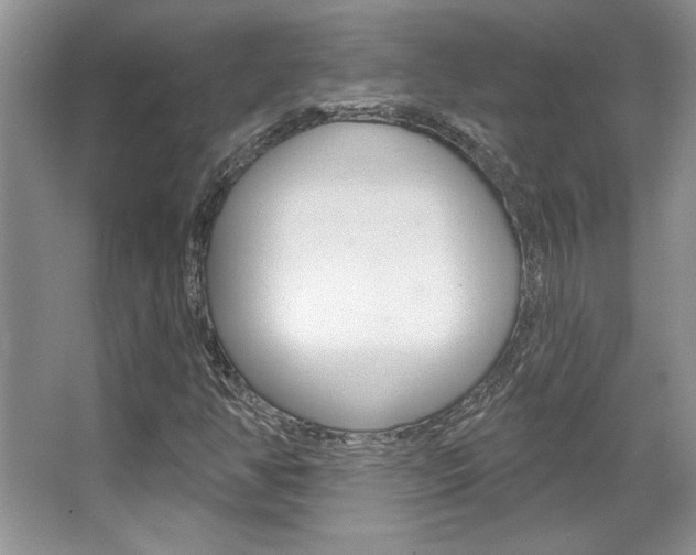 X0000067841350200604130934