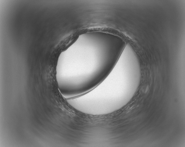 X0000067841351200604130934
