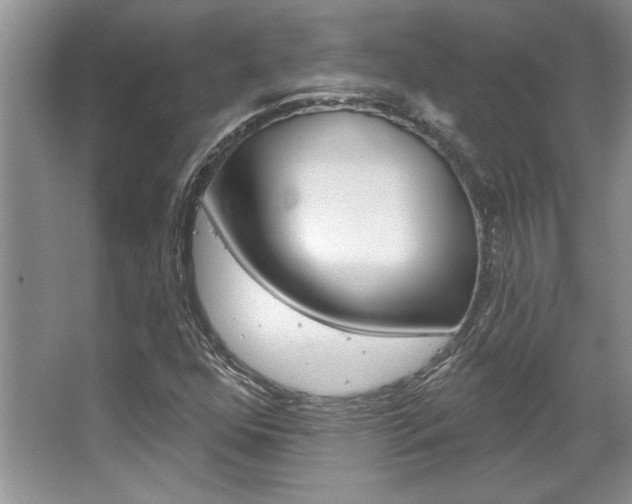 X0000067841352200604130934