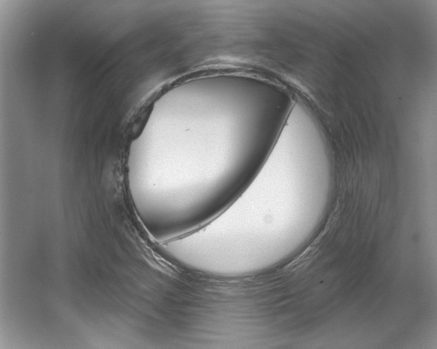 X0000067841355200604130934