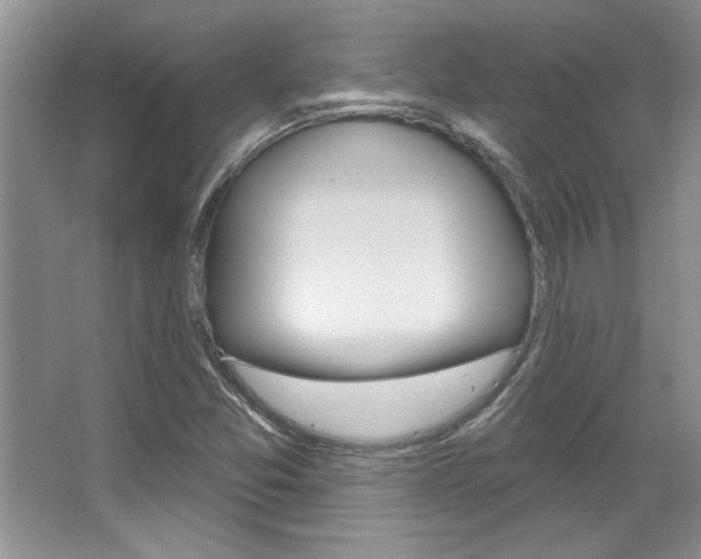 X0000067841357200604130934