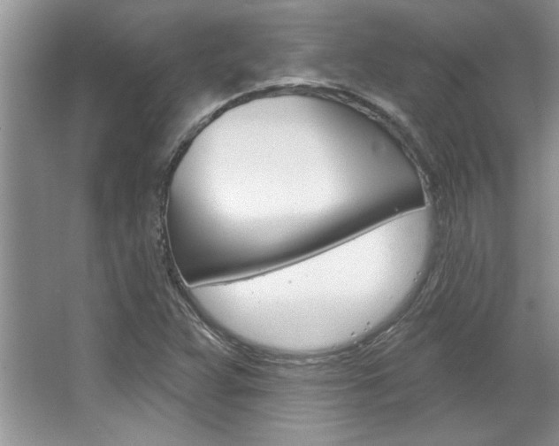 X0000067841359200604130933