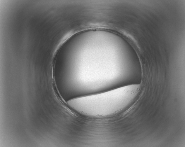 X0000067841365200604130933