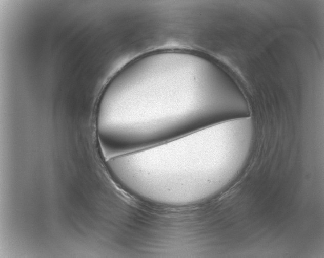 X0000067841367200604130933