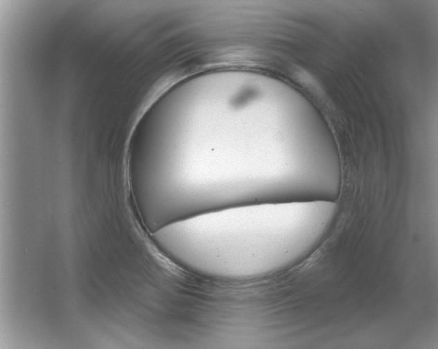 X0000067841370200604130933