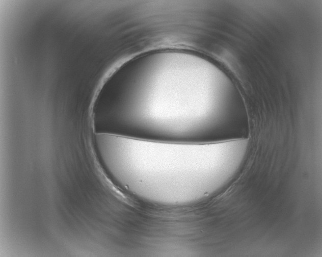 X0000067841371200604130933