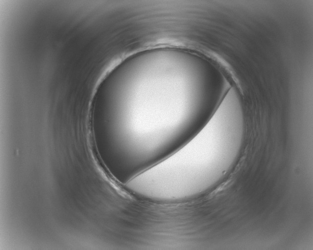 X0000067841373200604130933