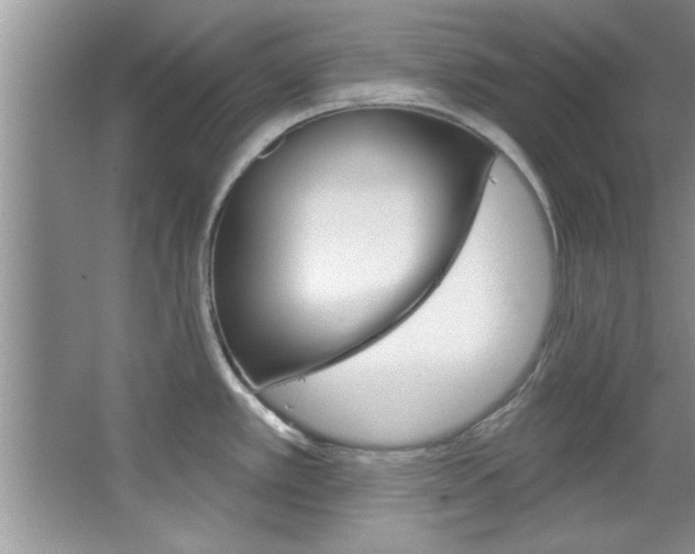 X0000067841389200604130933