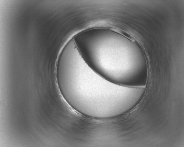 X0000067841392200604130933