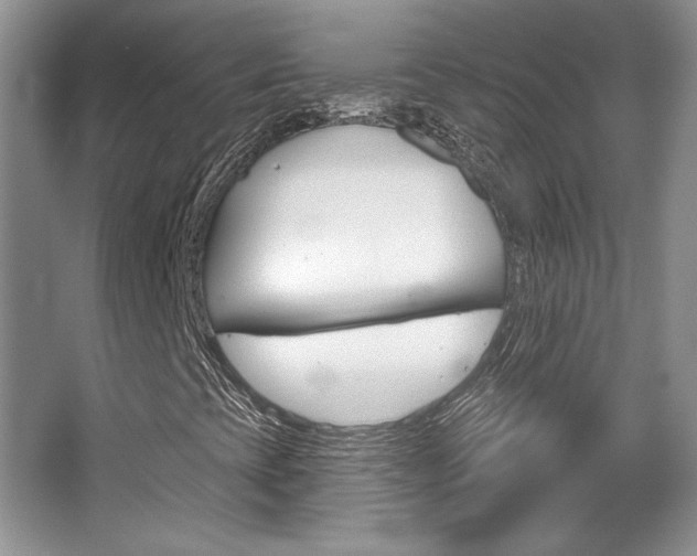 X0000067841393200604130932