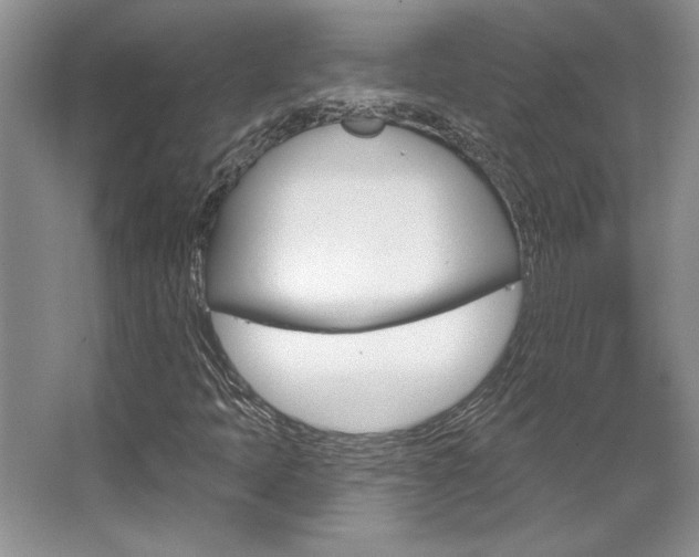 X0000067841397200604130932