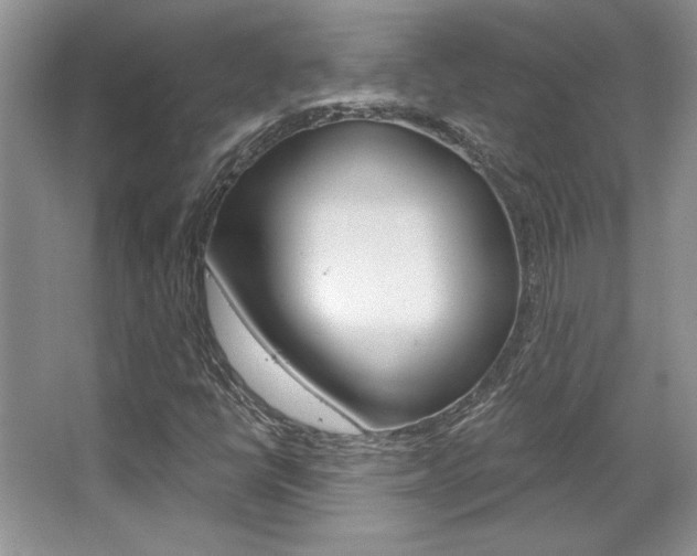 X0000067841398200604130932
