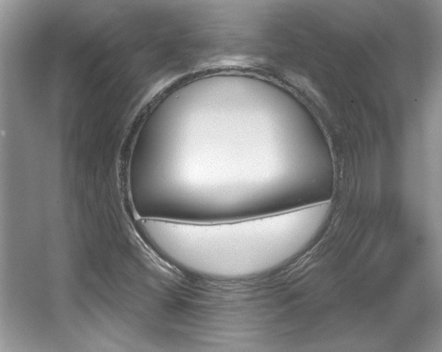 X0000067841404200604130932