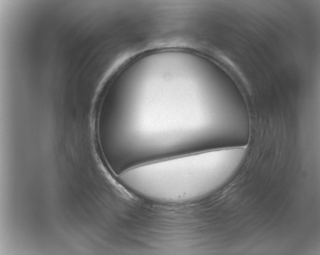 X0000067841416200604130933