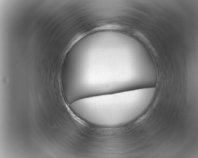 X0000067841425200604130933