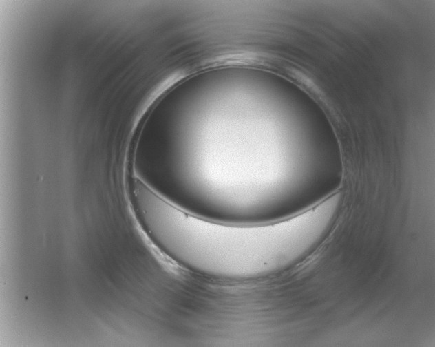 X0000067841426200604130933
