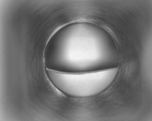 X0000067841428200604130933