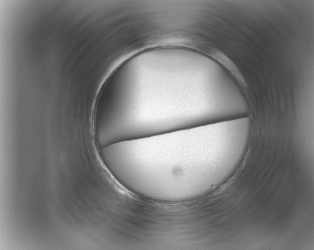 X0000067841436200604130933