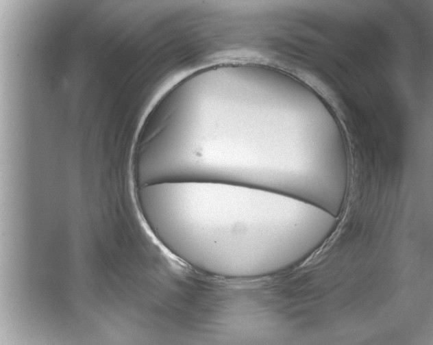 X0000067841440200604130933