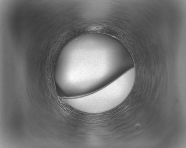X0000067841441200604130932