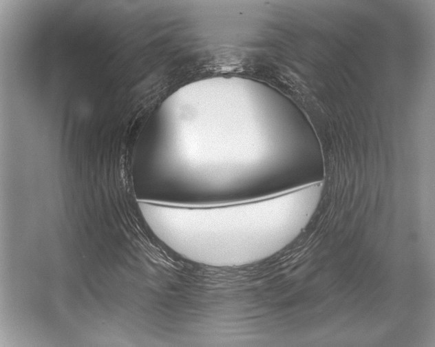 X0000067841442200604130932