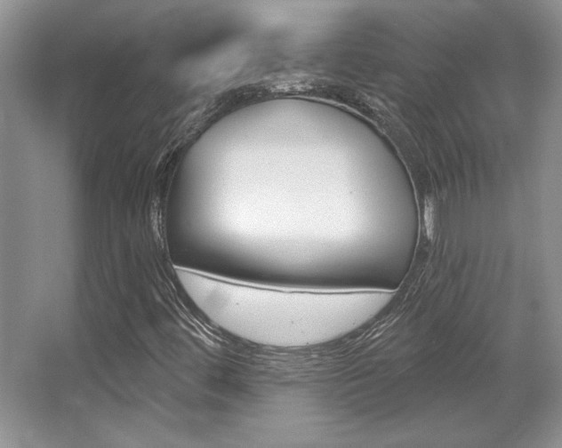 X0000067841444200604130932
