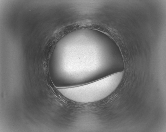 X0000067841445200604130932