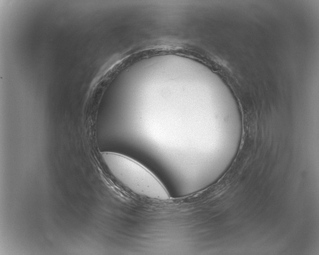 X0000067841448200604130932