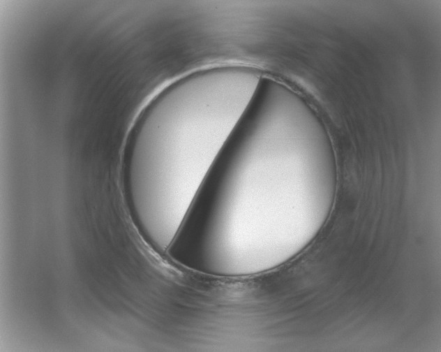 X0000067841460200604130932