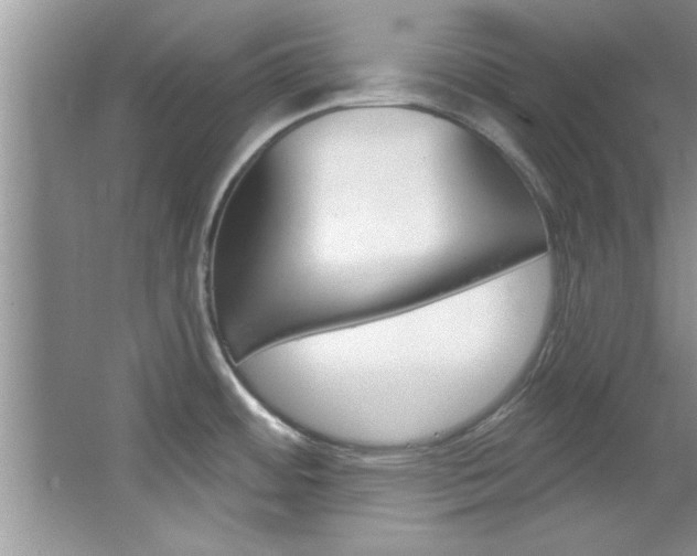 X0000067841484200604130931