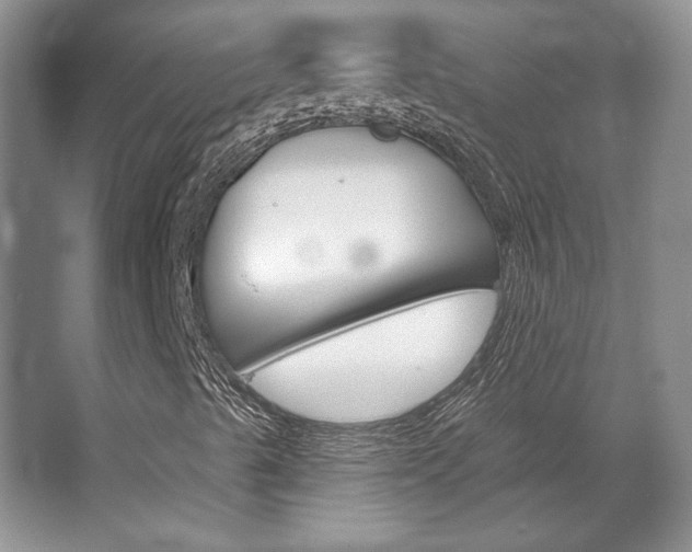 X0000067841489200604130931